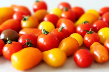 Ab jetzt kommt Farbe ins Spiel! Gelb, Orange, Violett, Grn oder Rot  Tomaten sind immer ein Erlebnis.