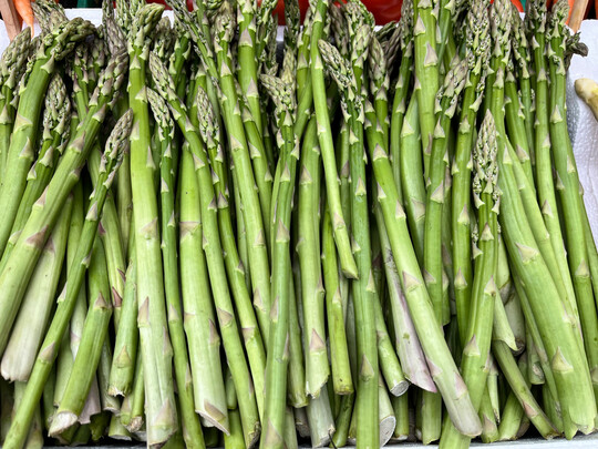 Beim Spargeltag in Karlsruhe ging es unter anderem um die zunehmenden Schden durch die Spargel- und Bohnenfliege.