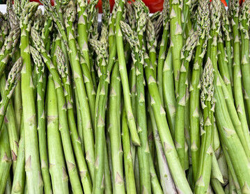 Grner Spargel stand diesmal im Fokus des Pflzer Spargeltags.