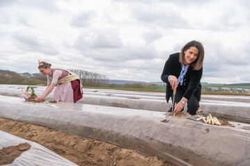 Landwirtschaftsministerin Michaela Kaniber hat gemeinsam mit der Frnkischen Spargelknigin Christiane Reinhart im unterfrnkischen Untereuerheim mit dem Spargelanstich die bayerische Spargelsaison offiziell erffnet. 