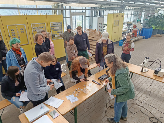 Natrliche Gegenspieler konnten die angehenden Gemsegrtner live unter dem Mikroskop erleben.