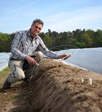 Erfreut – Spargelanbauer Steffen Großhans aus Hockenheim (Rhein-Neckar-Kreis) beschäftigt seit letzter Woche Saisonkräfte aus der Gegend