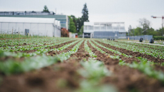 Klimaresiliente Böden sollen die Ernährungssicherheit in Nordwesteuropa gewährleisten.