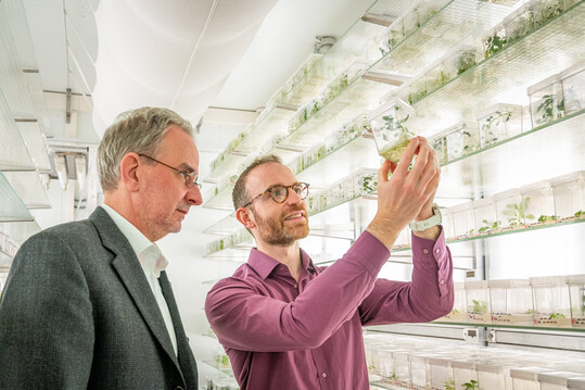 Das Team um Institutsleiter Prof. Ralph Bock (links) und Projektleiter Dr. Daniel Dunkelmann (rechts) wird in Krze Nutzpflanzen der nchsten Generation mit optimierten Chloroplastengenomen entwickeln.