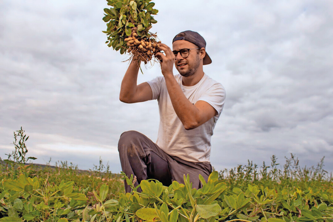 Der gelernte Wirtschaftsinformatiker Stefan Romstorfer baut zusammen mit seinem Bruder Roman im Weinviertel Erdnüsse an. Die beiden setzen dabei auch auf die Unterstützung durch einen KI-gestützten Hackroboter.