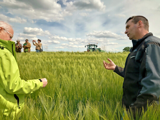 Robert Hugger (rechts) erprobt auf seinen Feldern viele verschiedene Maßnahmen, um für Insekten Nahrung und Lebensraum zu schaffen. Im Gerstenfeld zeigte er den Blühbotschaftern die Untersaat, die zu keimen begann.