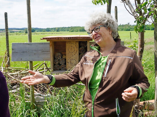Biodiversitäts-Pädagogin Nicole Hugger zeigt, welche Maßnahmen sie auf einer Pferdeweide umgesetzt hat, um Insekten mehr Nahrung und Lebensraum zur Verfügung zu stellen – zum Beispiel mit Bienenhotel und Benjeshecke.