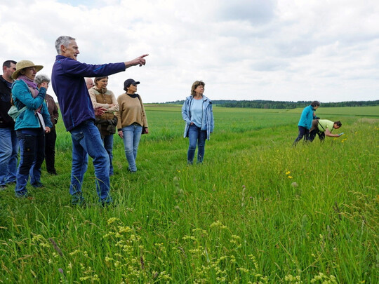 Hubert Lorinser hat sowohl auf landwirtschaftlich genutzten Flächen als auch am Hof selbst Maßnahmen umgesetzt, die bestäubenden Insekten Nahrung und Lebensraum bieten. Im Bild zeigt er auf eine Blühwiese am Rande eines Wäldchens, die er angelegt hat.