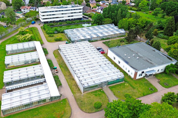 Das Leibniz-Institut fr Gemse- und Zierpflanzenbau (IGZ) hat investiert: unter anderem in eine neue Dacheindeckung und ein Lftungssystem fr zwei der IGZ-Gewchshuser mit einer Gesamtflche von etwa 2300 Quadratmetern.