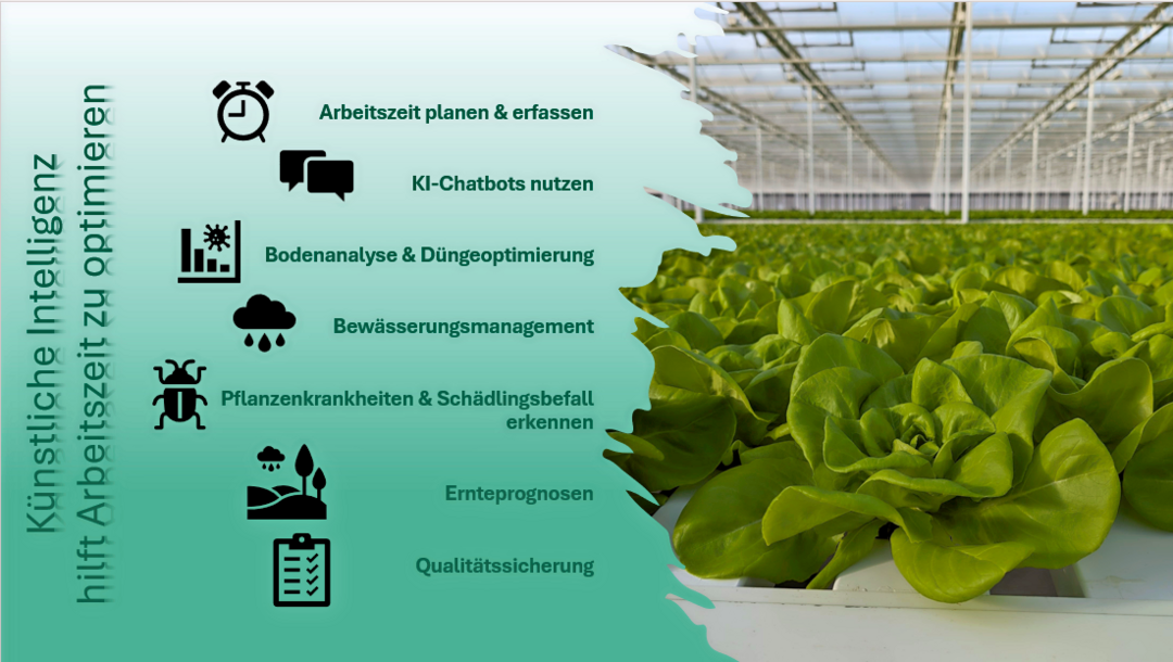 Der Einsatz von KI kann den Gemüsebau in vielen Bereichen unterstützen und entlasten.