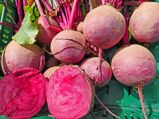 Der Bio-Anteil an der Gesamtflche der Rote Bete in Deutschland betrgt stolze 49 %.