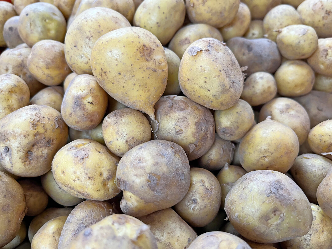 Zur Krautabttung bei Kartoffeln hat Quickdown eine Notfallzulassung erhalten.