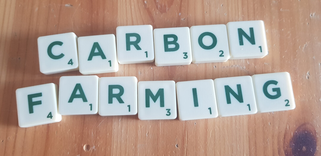 Hlt das sogenannte Carbon Farming am Ende doch nicht, was es verspricht?