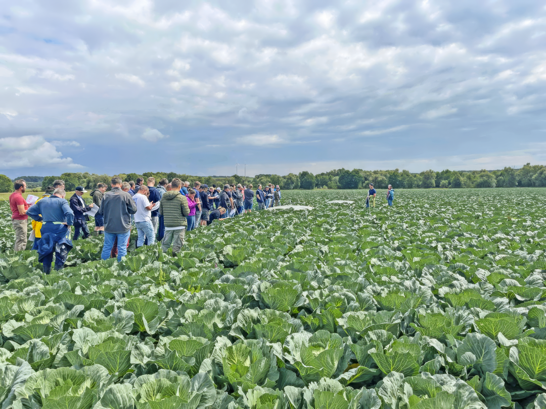 Versuchsbegehung bei Industrieweikohl zur Versuchsrundfahrt Mitte Juli 2025.