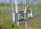 Robuste Konstruktion: Regen und Temperaturen bis 40 C machen dem Laserscanner nichts aus.