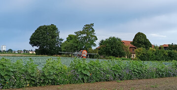 Landidylle trifft Grostadt: Der Michaelshof liegt auf der Filderhochebene vor den Toren Stuttgarts.