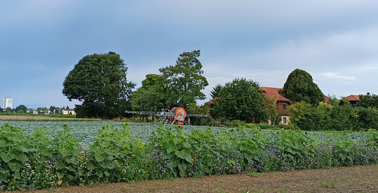 Landidylle trifft Grostadt: Der Michaelshof liegt auf der Filderhochebene vor den Toren Stuttgarts.