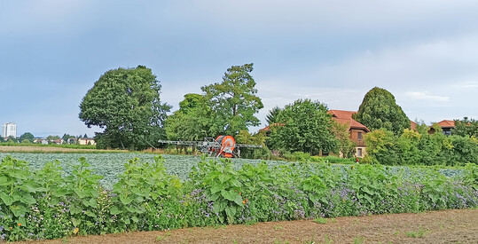 Landidylle trifft Grostadt: Der Michaelshof liegt auf der Filderhochebene vor den Toren Stuttgarts.
