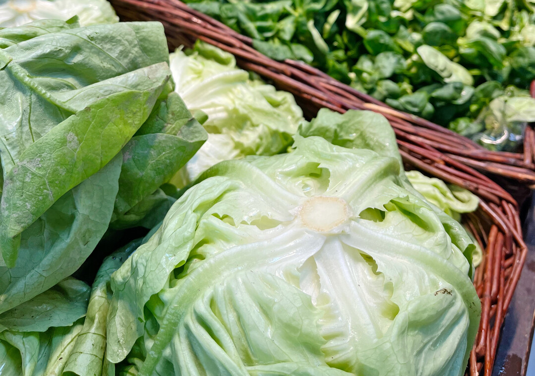 Aktuell macht besonders im Salatanbau die aktuelle Zulassungssituation den Betrieben zu schaffen.