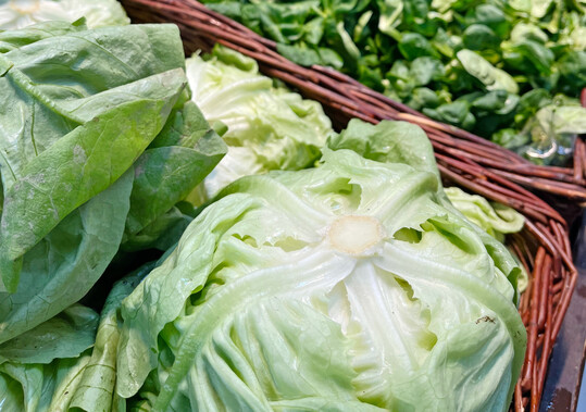Aktuell macht besonders im Salatanbau die aktuelle Zulassungssituation den Betrieben zu schaffen.