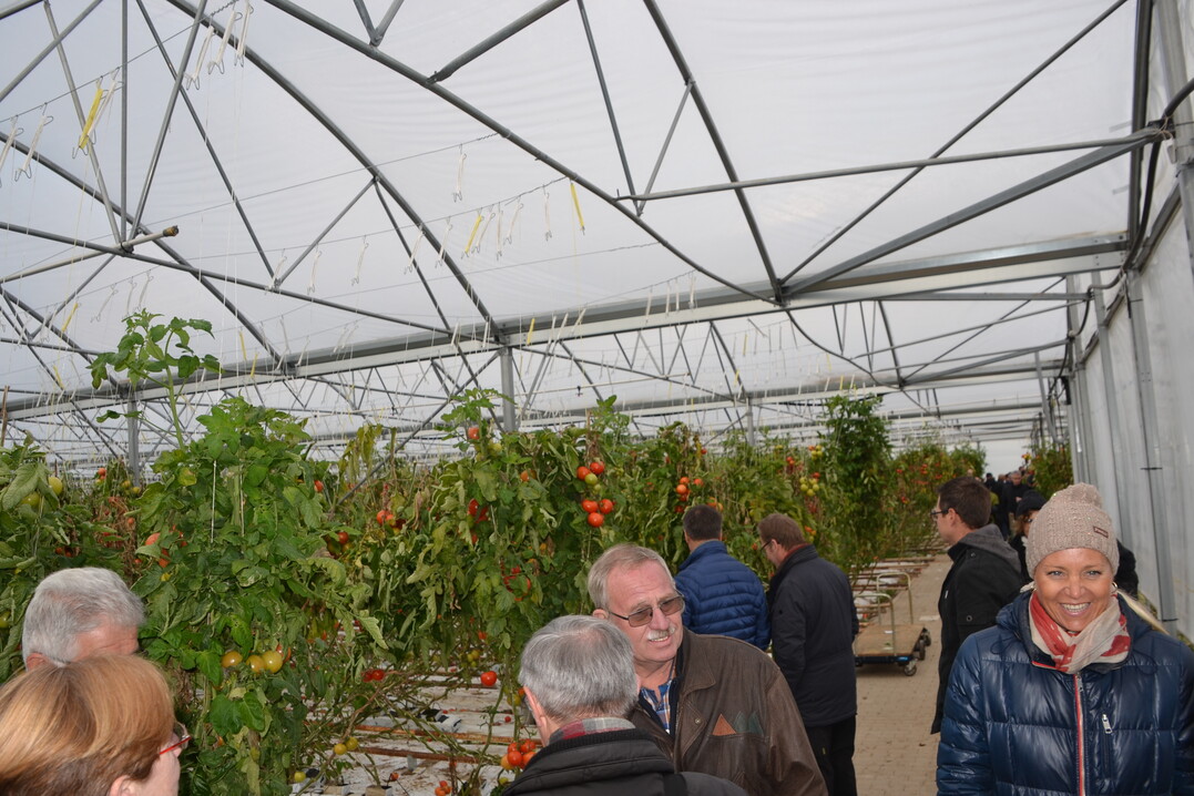Modernes Richel-Haus fr Tomaten bei Kcherer
