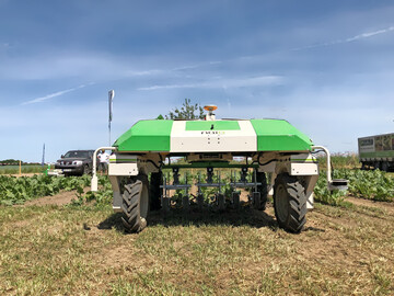 Ob und wie Hackroboter in der gemsebaulichen Praxis tatschlich funktionieren, das testete die LWG in Bamberg ber drei Jahre hinweg.