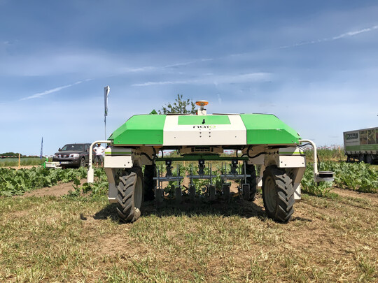 Ob und wie Hackroboter in der gemsebaulichen Praxis tatschlich funktionieren, das testete die LWG in Bamberg ber drei Jahre hinweg.