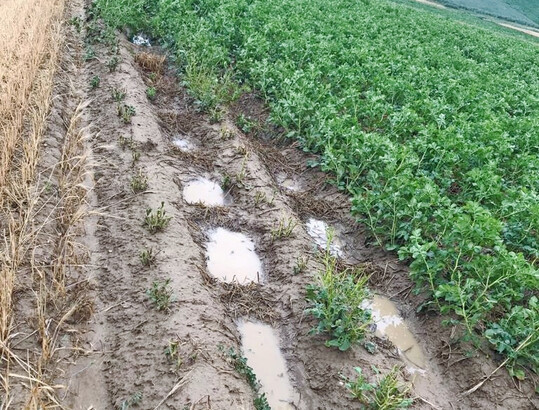 Wasserrückhalt in Querdämmen nach einem starken Niederschlagsereignis.