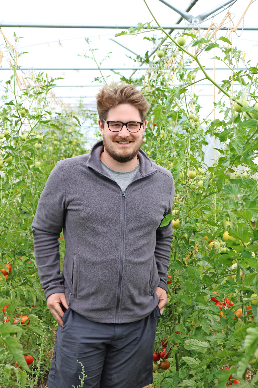 Marek informiert sich gerne ber neue Sorten. In diesem Jahr ausgetestet und fr gut befunden: die Tomaten-Sorte Pannovy.