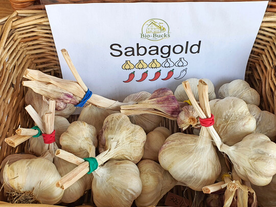 Die Sorte Sabagold ist Nathalie Bucks Lieblingsknoblauch.