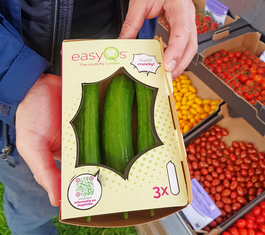 Das Vermarktungskonzept easyQs soll nun auch im deutschsprachigen Raum bei den Anbauern ausgerollt werden.