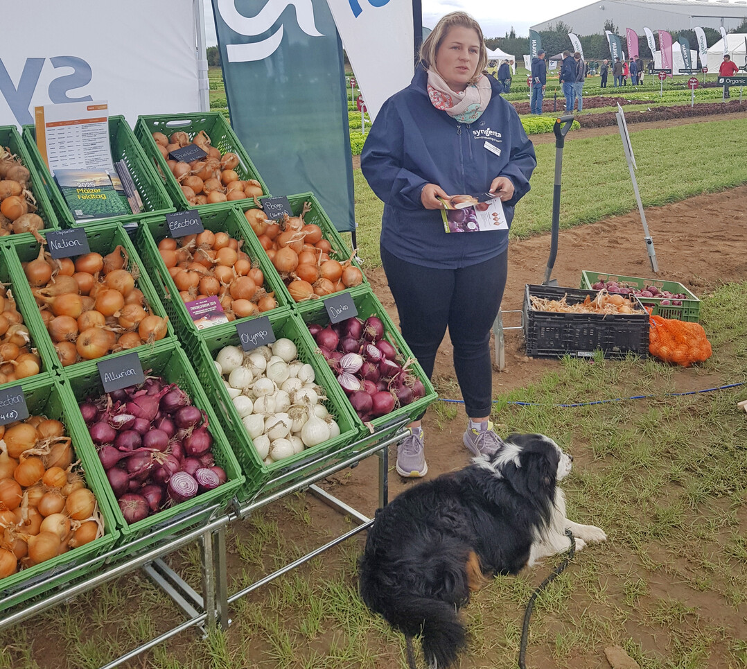 Auf das breite Zwiebel-Sortiment ist Katharina Schuch stolz.
