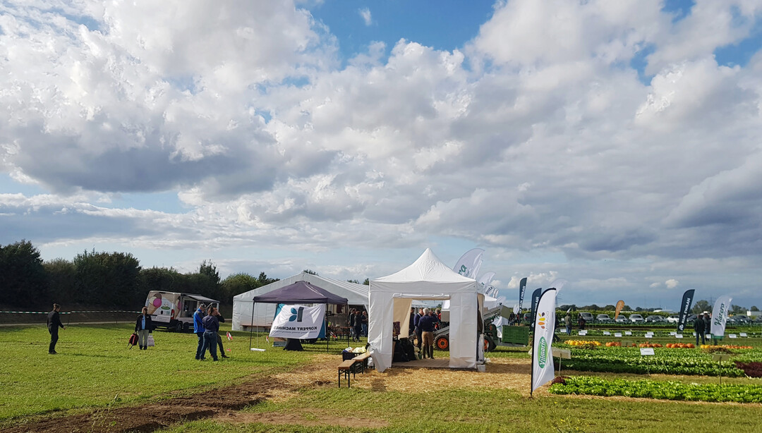 Auch Hazera stellte in Schifferstadt wieder einen Auszug aus seinem Sortiment vor.