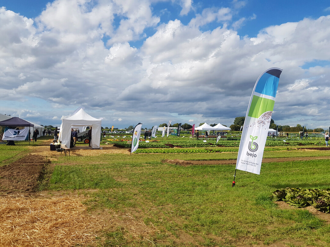 Bejo bereicherte den Feldtag unter anderem mit einem Spitzwirsing und Stangensellerie.