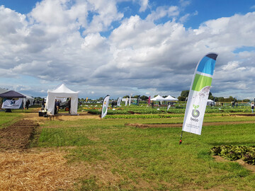 Bejo bereicherte den Feldtag unter anderem mit einem Spitzwirsing und Stangensellerie.