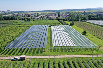 Im Projekt Agri-PV Obstbau werden verschiedene Solarmodul-Technologien (links) und herkmmliche Kulturenschutzsysteme (rechts) getestet.