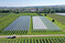 Im Projekt Agri-PV Obstbau werden verschiedene Solarmodul-Technologien (links) und herkmmliche Kulturenschutzsysteme (rechts) getestet.