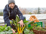 Der „Grüne-Dachgestalter“: Seit 2014 macht Florian Demling ausgewählte Dächer in und um Würzburg unsicher und erntet dabei mehrmals im Jahr sein Dachgemüse. Neben Klassikern wie Auberginen, Karotten und Kräutern gedeihen in luftiger Höhe auch exotische Vitaminspender.