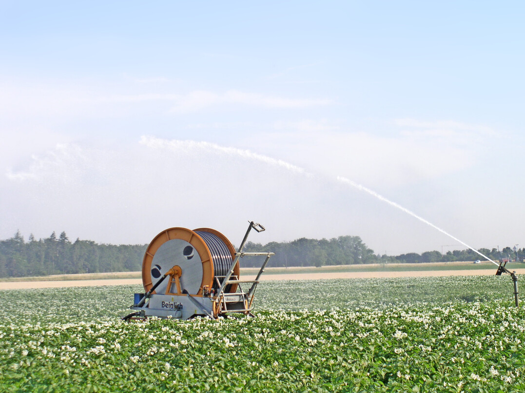 Bewässerung sichert den Kartoffelanbau. Welche Beregnungstechnik dabei zum Einsatz kommt, muss betriebsindividuell entschieden werden.