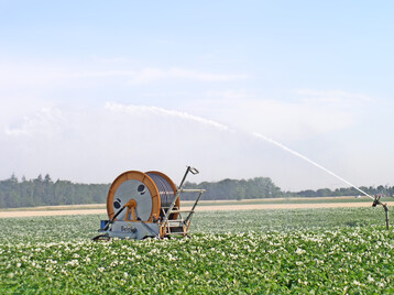 Bewsserung sichert den Kartoffelanbau. Welche Beregnungstechnik dabei zum Einsatz kommt, muss betriebsindividuell entschieden werden.