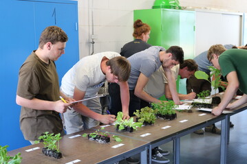 Pflanzen sind faszinierend. Sie wachsen, blhen, tragen Frchte und  das Beste  sie machen glcklich und schenken Selbstvertrauen. In einer Ausbildung zum Grtner bekommt man all das gratis und frdert gleichzeitig noch sein ganz persnliches Wachstum.