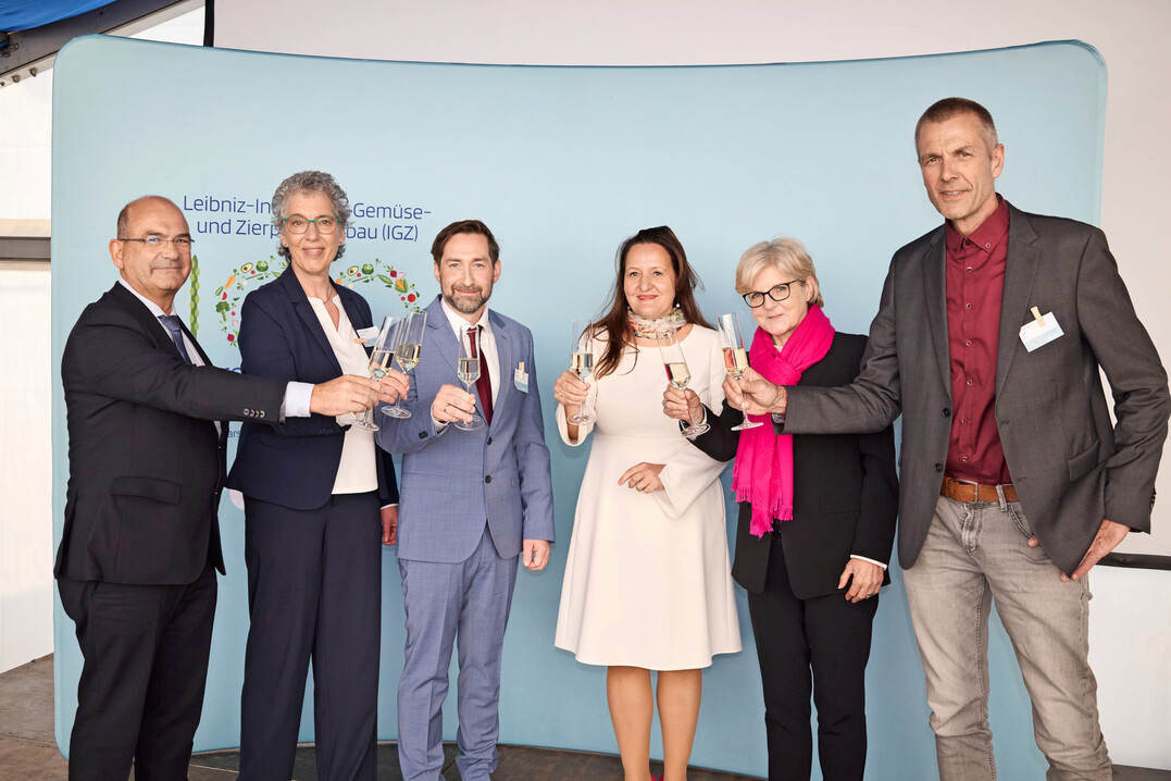 Markus Schick, Nicole van Dam, Markus Randig, Manja Schle, Martina Brockmeier und Christian Ufen stoen bei der Jubilumsfeier des IGZ in Grobeeren an.