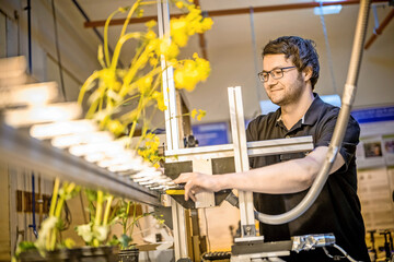 Jochen Taiber im Pflanzenlabor der Marburger Terahertz-Gruppe.