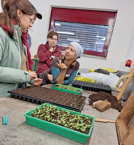 Im Workshop zum Thema Jungpflanzenanzucht konnten die Azubis beim Säen, Pikieren und Topfen selbst Hand anlegen.