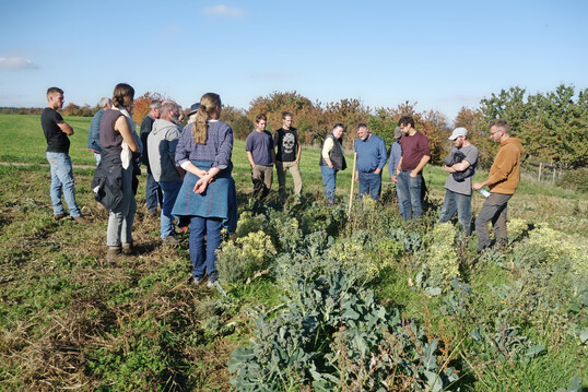 Mit großem Interesse informierten sich die Teilnehmerinnen und Teilnehmer über den Mulchanbau.