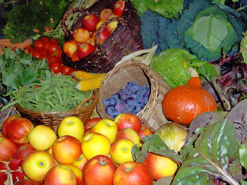 Nahrungsmittel sind wertvoll. Daher sollten möglichst wenige davon im Müll landen.