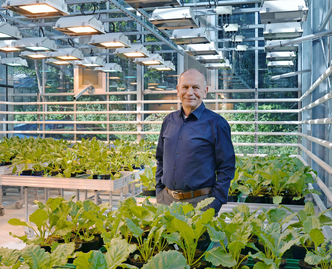 Professor Uwe Conrath hat erstmals umfassend zu den gemeinsamen Mechanismen zwischen der systemischen Immunität von Pflanzen und der antrainierten Immunität des Menschen veröffentlicht.