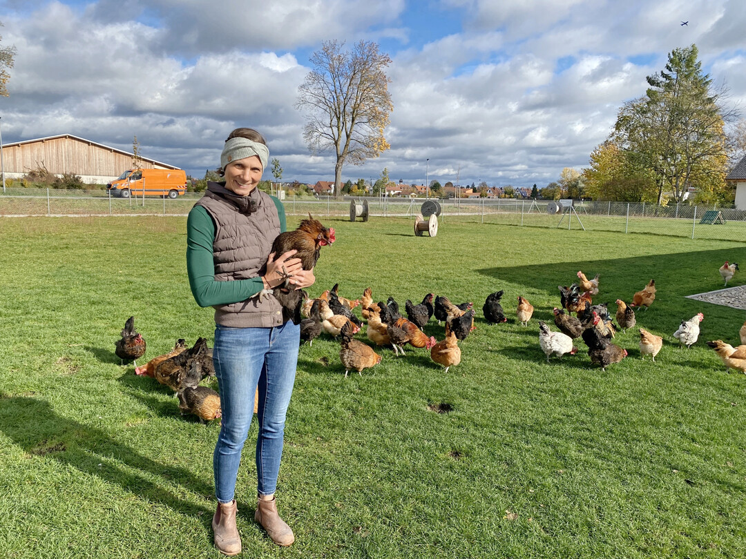 Auf dem Hof ist Platz f�r bis zu 700 H�hner. Im Hofladen verkaufen die Pfl�glers die Eier und das Fleisch der aufgezogenen und selbst geschlachteten Bruderh�hne sowie Suppenh�hner.