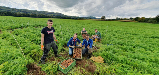 Der Versuch wurde im nieders�chsischen Weserbergland durchgef�hrt, hier sieht man das Team bei der Ernte.