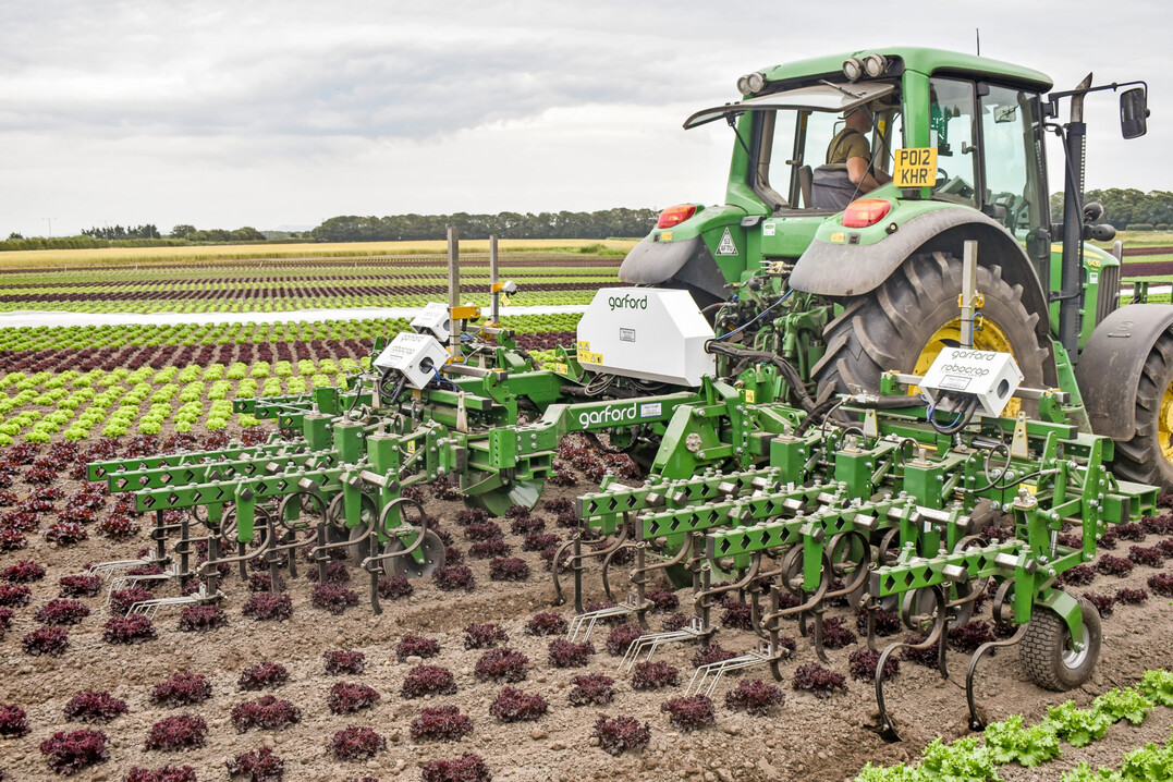 Der Robocrop AI von Garford ist mit einem modernen Bilderkennungssystem ausgestattet.